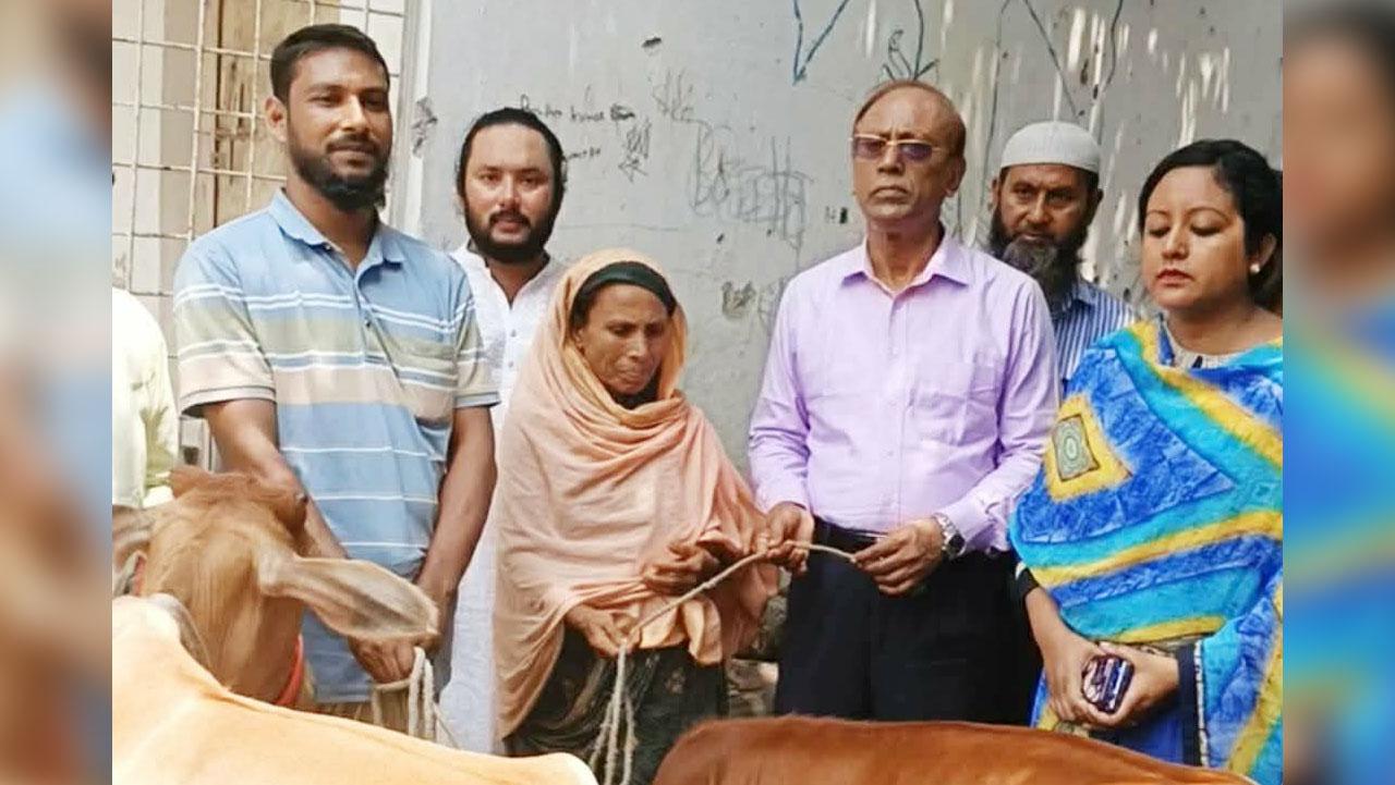 এনজিও ফাউন্ডেশনের উদ্যোগে দরিদ্রদের মাঝে বকনা গরু বিতরণ - chief tv