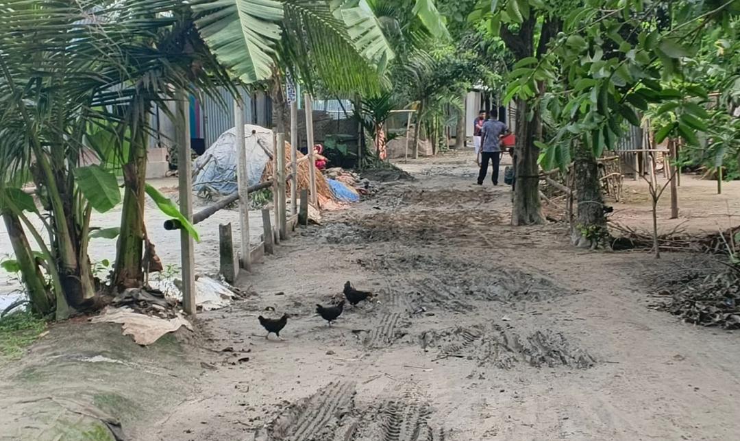 কাজীপুরের সোনামুখী–গাসাবাড়ী সড়ক বেহাল দশায়: চরম দুর্ভোগে হাজারো মানুষ - Chief TV
