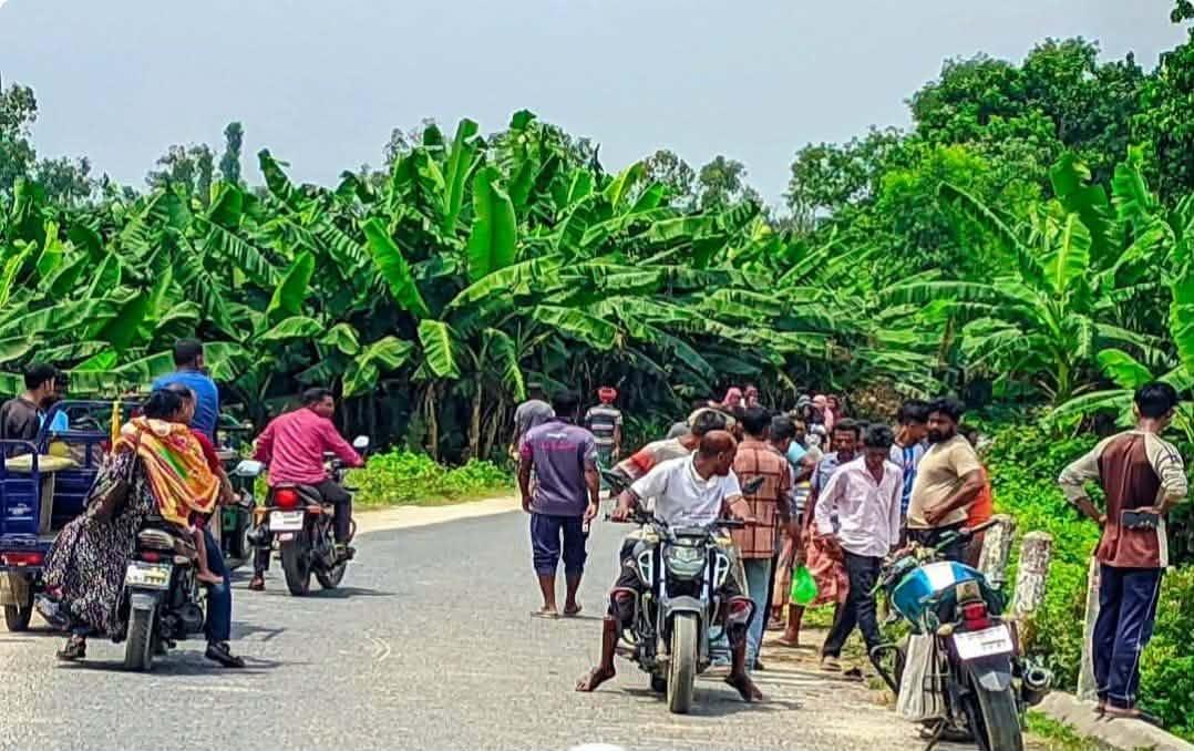 ধামইরহাটে সড়ক দুর্ঘটনায় মোটরসাইকেল চালক নিহত - Chief TV