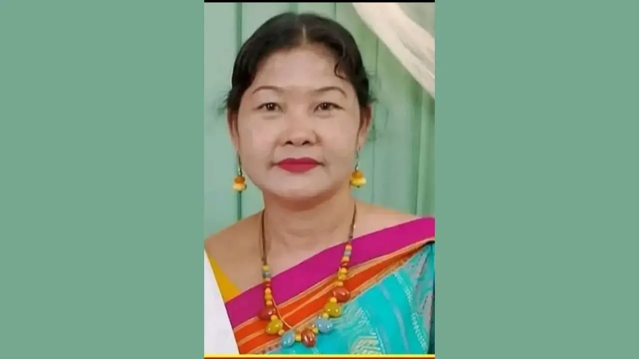 জাম পাড়তে গিয়ে বিদ্যুৎস্পৃষ্ট, প্রাণ গেল প্রধান শিক্ষিকার - Chief TV