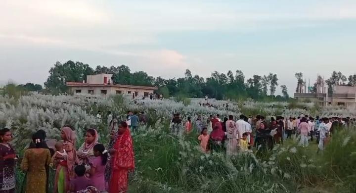 শাহজাদপুরে কাশফুলের রাজ্য, প্রকৃতিপ্রেমীদের ভিড় - Chief TV