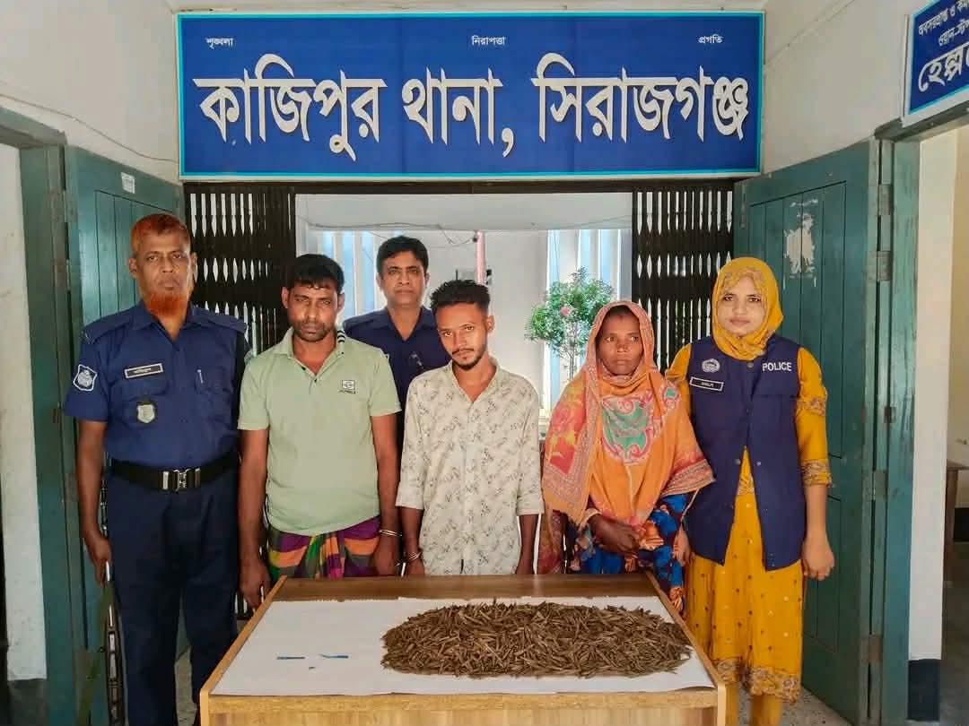 কাজীপুরে পৃথক অভিযানে গাঁজা-ইয়াবাসহ গ্রেপ্তার ৩ - Chief TV