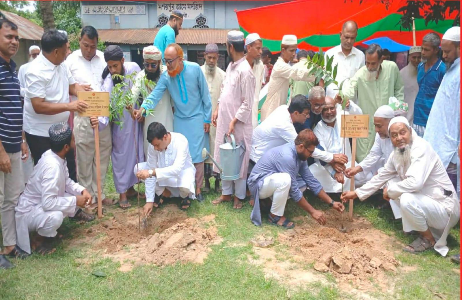 নওগাঁয় পরিবেশ ভারসাম্য রক্ষায় ৮ হাজার ধর্মীয় প্রতিষ্ঠানে বৃক্ষরোপণ কর্মসূচি শুরু - Chief TV