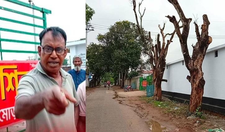 সরকারি গাছ নষ্টের অভিযোগ, সাংবাদিকের ফুটেজ মুছে দেওয়ার দাবি - Chief TV