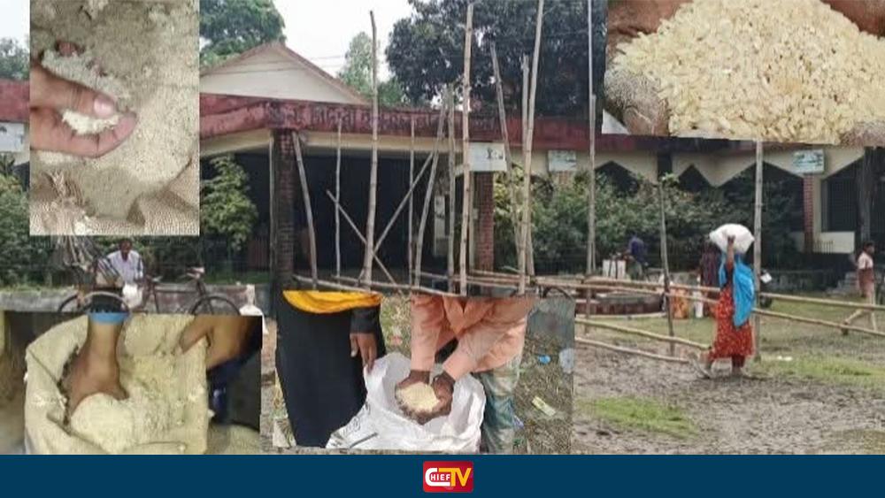 গাইবান্ধা গিদারী ইউনিয়নে ধুলা ও পোকাযুক্ত সরকারি ভিজিএফের নিম্নমানের চাল বিতরণের অভিযোগ - Chief TV
