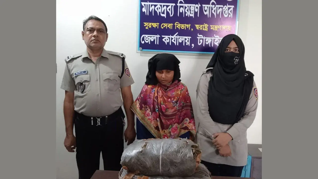 কালিহাতীতে সাড়ে ৬ কেজি গাঁজাসহ গৃহবধূ গ্রেপ্তার, শ্বশুর পলাতক - Chief TV