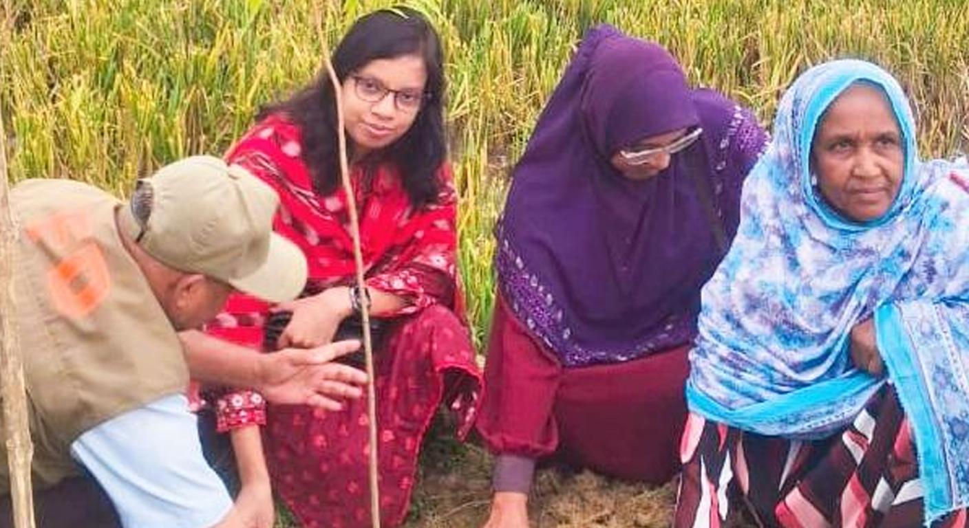 জয়পুরহাটের পাঁচবিবির গ্রামীণ সড়কে গাছের চারা রোপণ - Chief TV