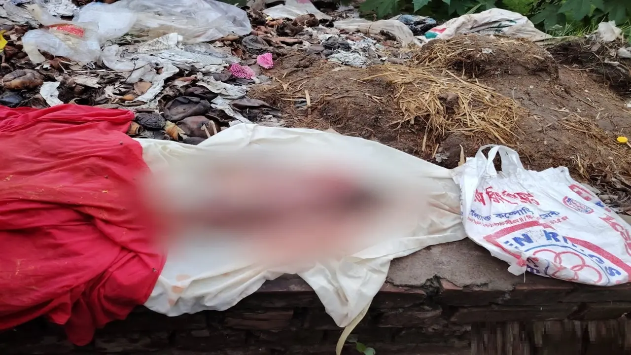 রাজবাড়ীতে ময়লার ভাগাড় থেকে নবজাতকের মরদেহ উদ্ধার - Chief TV