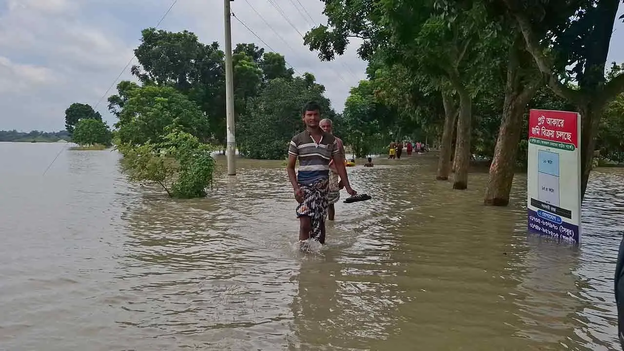 বিপৎসীমার কাছাকাছি পদ্মার পানি, হাজারো মানুষ পানিবন্দি ‎- Chief TV