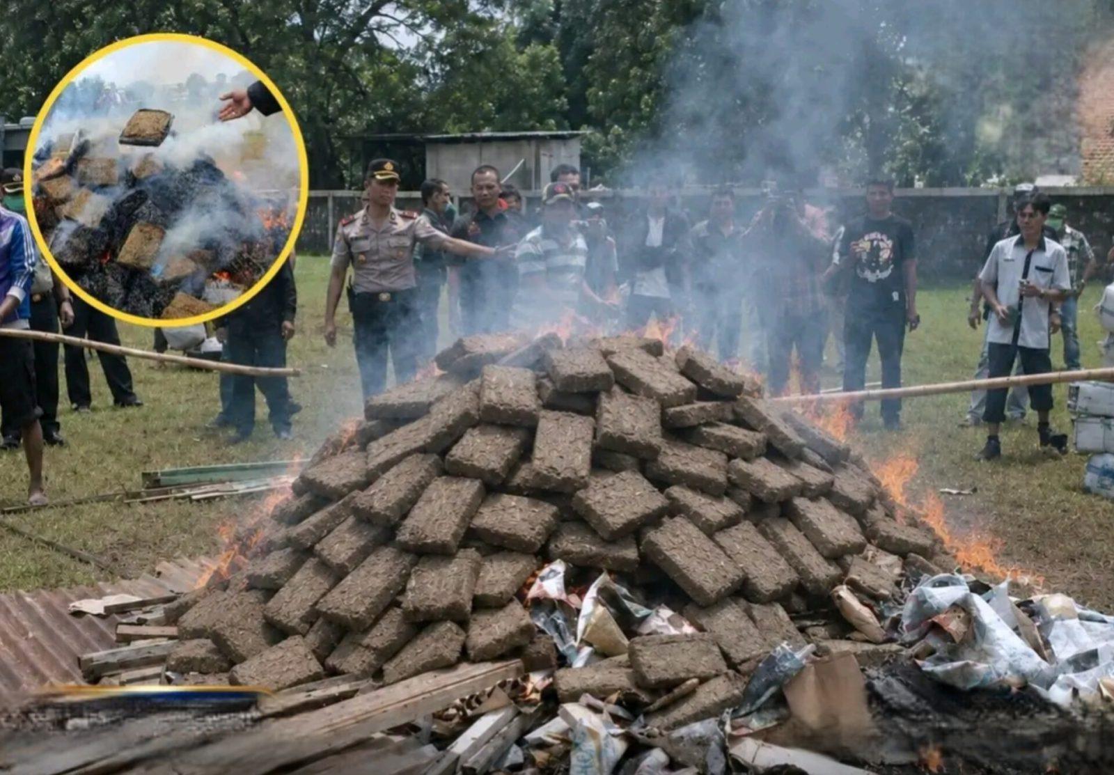 ইন্দোনেশিয়ার জাকার্তায় মাদক ধ্বংস করতে গিয়ে বিপত্তি, গাঁজার ধোঁয়ায় নেশাগ্রস্ত স্থানীয়রা - Chief TV
