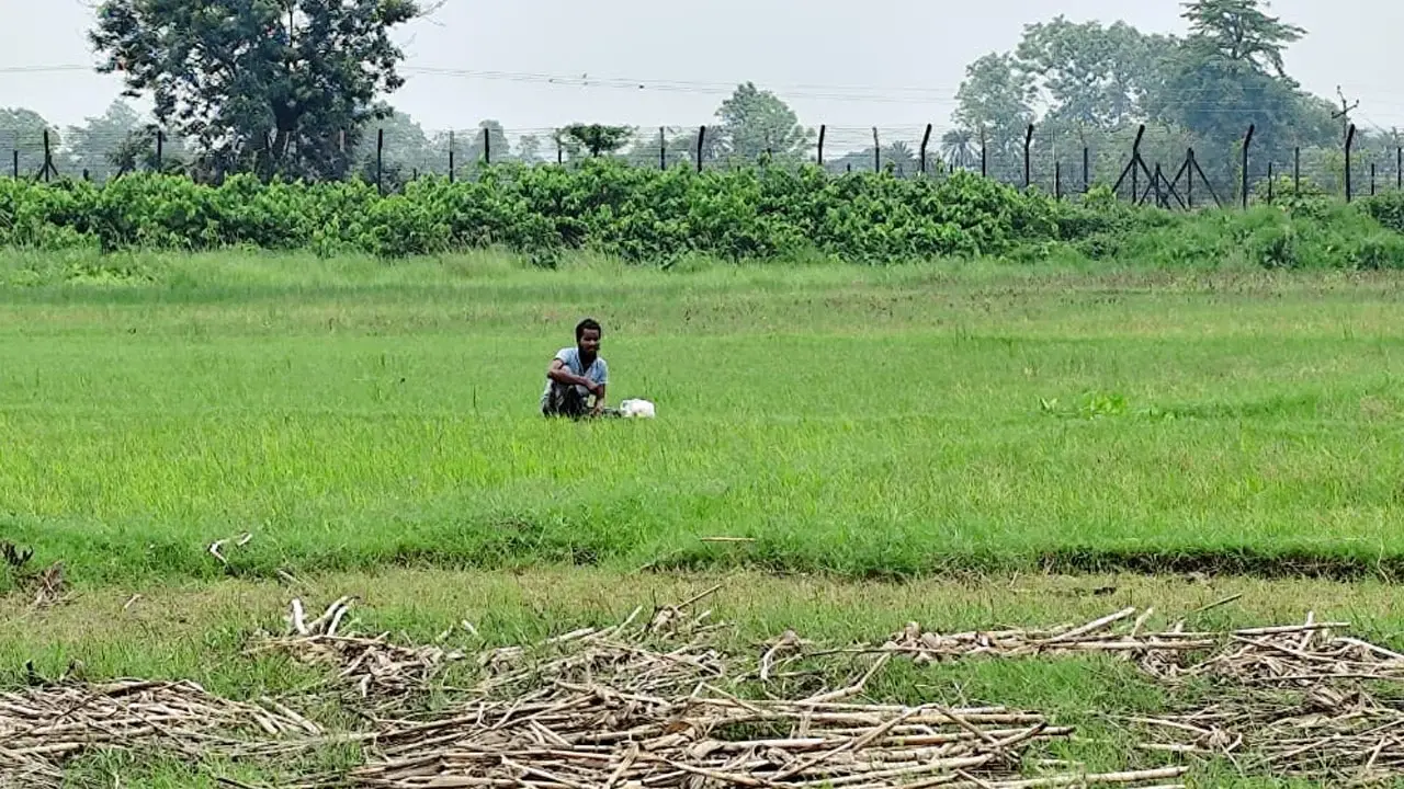 ঝাওডাঙ্গা সীমান্তে পুশইন চেষ্টা ব্যর্থ করল বিজিবি - Chief TV