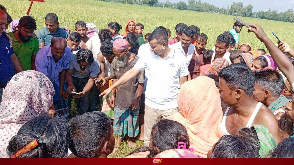 নিখোঁজের ১৬ ঘণ্টা পর ধানক্ষেতে মিলল শিশুর মরদেহ - Chief TV