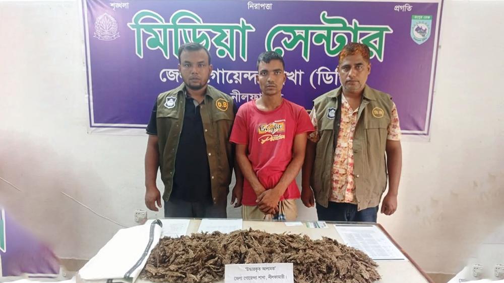 দেড় কেজি গাঁজাসহ নীলফামারীতে মাদক ব্যবসায়ী গ্রেফতার - Chief TV