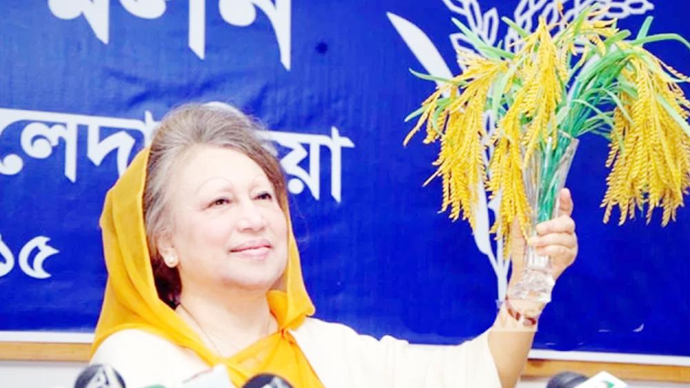 জনতার রায়ে অপরাজেয় খালেদা জিয়া - Chief TV