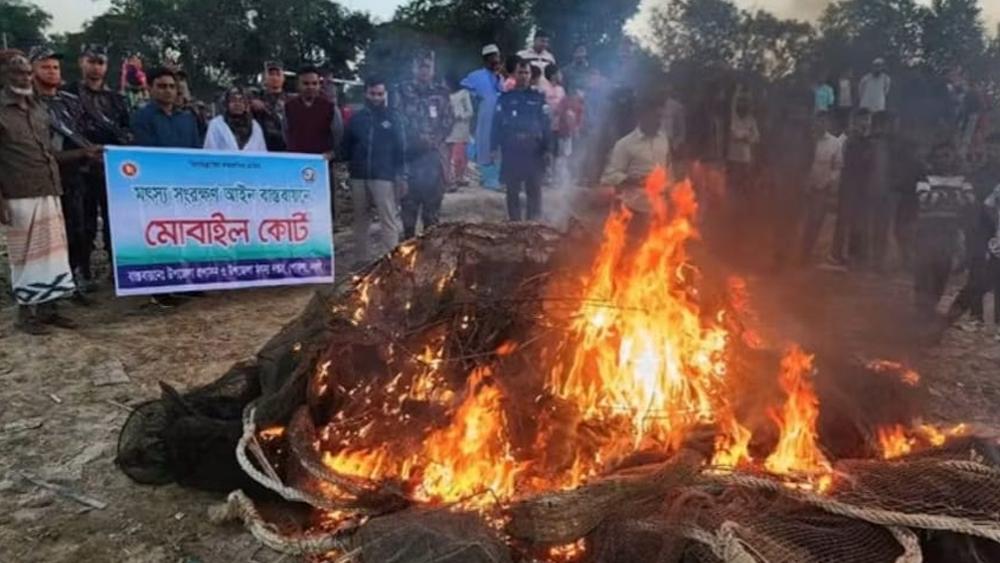 নওগাঁর পোরশা পূর্ণভবা নদীতে অভিযান চালিয়ে নিষিদ্ধ রিংজাল পুড়িয়ে ধ্বংস - Chief TV