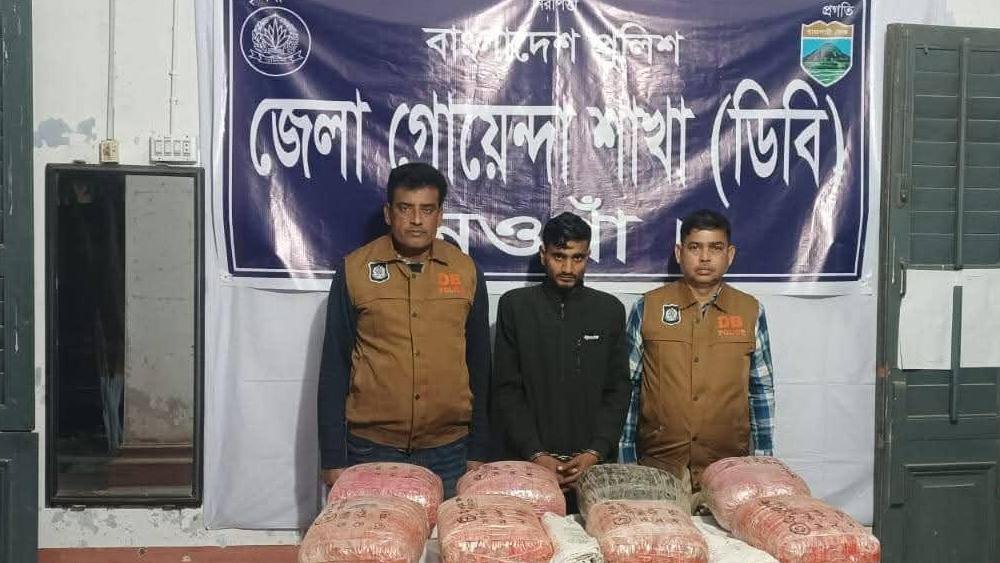 নওগাঁয় মাদকবিরোধী অভিযানে বিপুল পরিমাণ গাঁজা ও একজন আটক - Chief TV