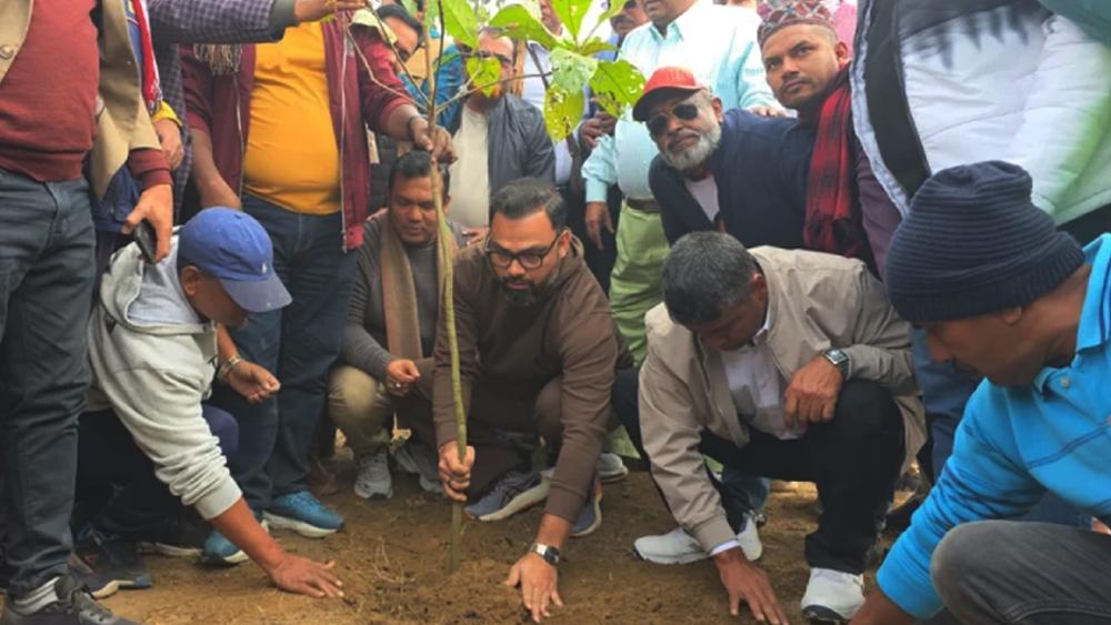 সংবর্ধনাস্থলের ক্ষতি পুষিয়ে নিতে বৃক্ষরোপণ বিএনপির - Chief TV