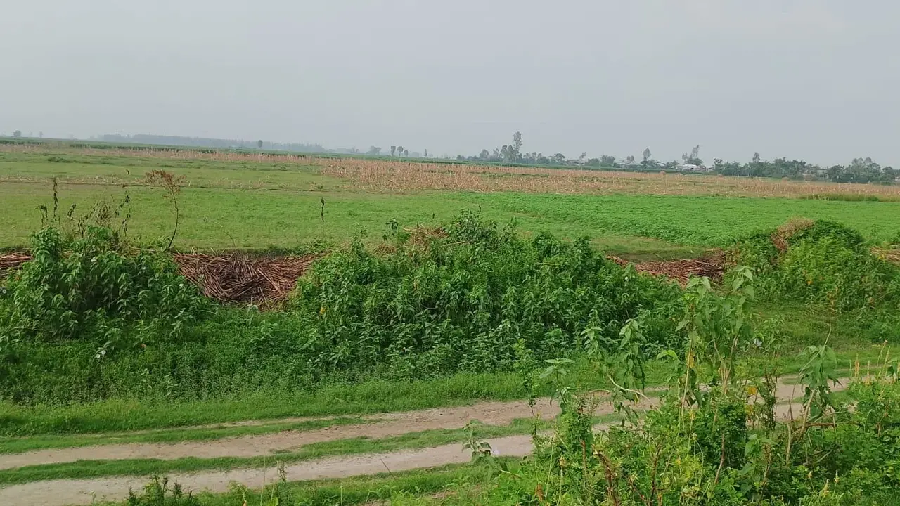 যমুনার চর থেকে ৪ খামারিকে অপহরণ, ২০ লাখ টাকা মুক্তিপণ দাবি - Chief TV