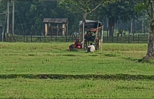 বিজিবি ও জনগনের প্রতিরোধের মুখে রাতের আঁধারে লোক ফিরিয়ে নিলো বিএসএফ - Chief TV