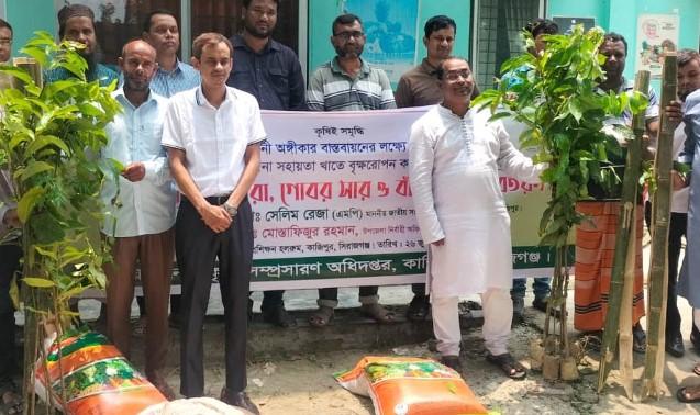 কাজিপুরে কৃষকেরা পেলেন গাছের চারা, জৈবসার ও বাঁশের খুঁটি - Chief TV