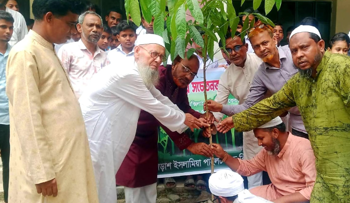 জলবায়ু পরিবর্তন বিষয়ে সচেতনতা ও বৃক্ষরোপণ কর্মসূচি অনুষ্ঠিত - Chief TV