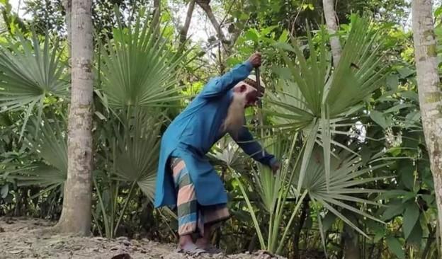 একাই ৫২ হাজার তালগাছ লাগিয়েছেন খোরশেদ আলী - Chief TV
