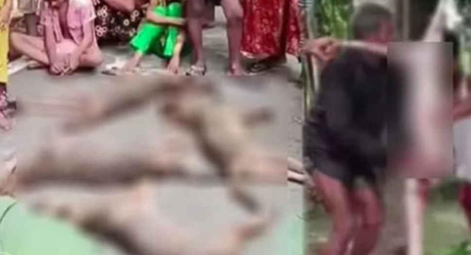 ৭ শিয়াল রান্না করে রুটি দিয়ে খেল বরিশালের বাসিন্দারা! - Chief TV