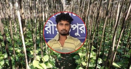 পানের বরজে কিশোরীকে নিয়ে 'শেষ রক্ষা' হলো না রায়হানের - Chief TV