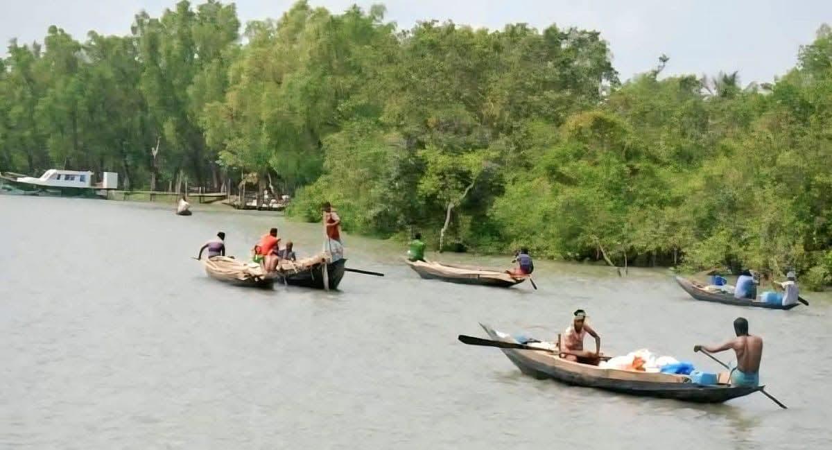 বিষ, প্লাস্টিক ও শিল্পবর্জ্যের আগ্রাসনে অস্তিত্ব সংকটে সুন্দরবন: বিপন্ন জীববৈচিত্র্য - Chief TV