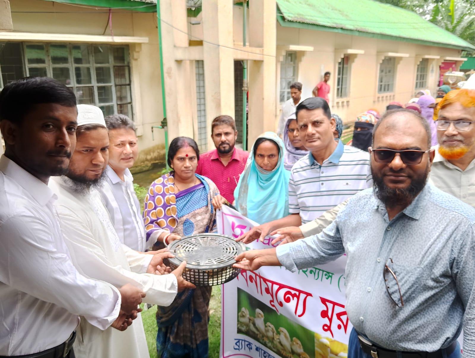 শাহজাদপুর শাখা ব্র্যাকের উদ্দ্যোগে প্রান্তিক সদস্যদের মাঝে বিনামুল্যে মুরগীর বাচ্চা বিতরন - Chief TV