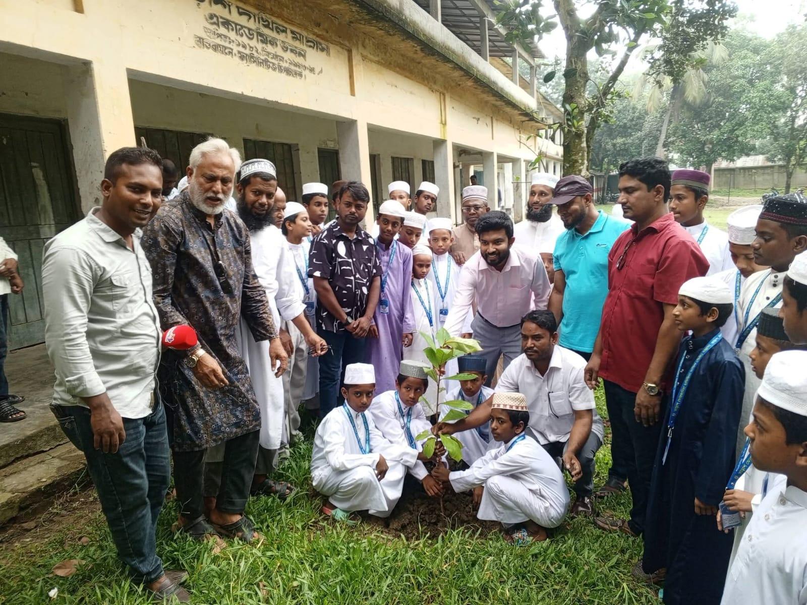 আনন্দ টিভির এমডির জন্মদিনে তাড়াশে বৃক্ষরোপণ কর্মসূচি-chief tv