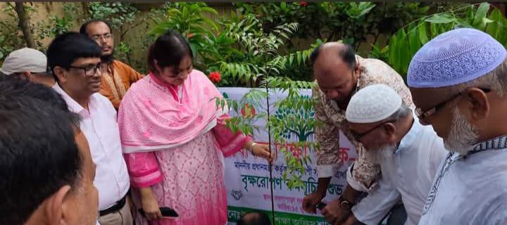 শাহজাদপুরে প্রাথমিক বিদ্যালয়ে বৃক্ষরোপণ কর্মসূচির উদ্বোধন-chief tv